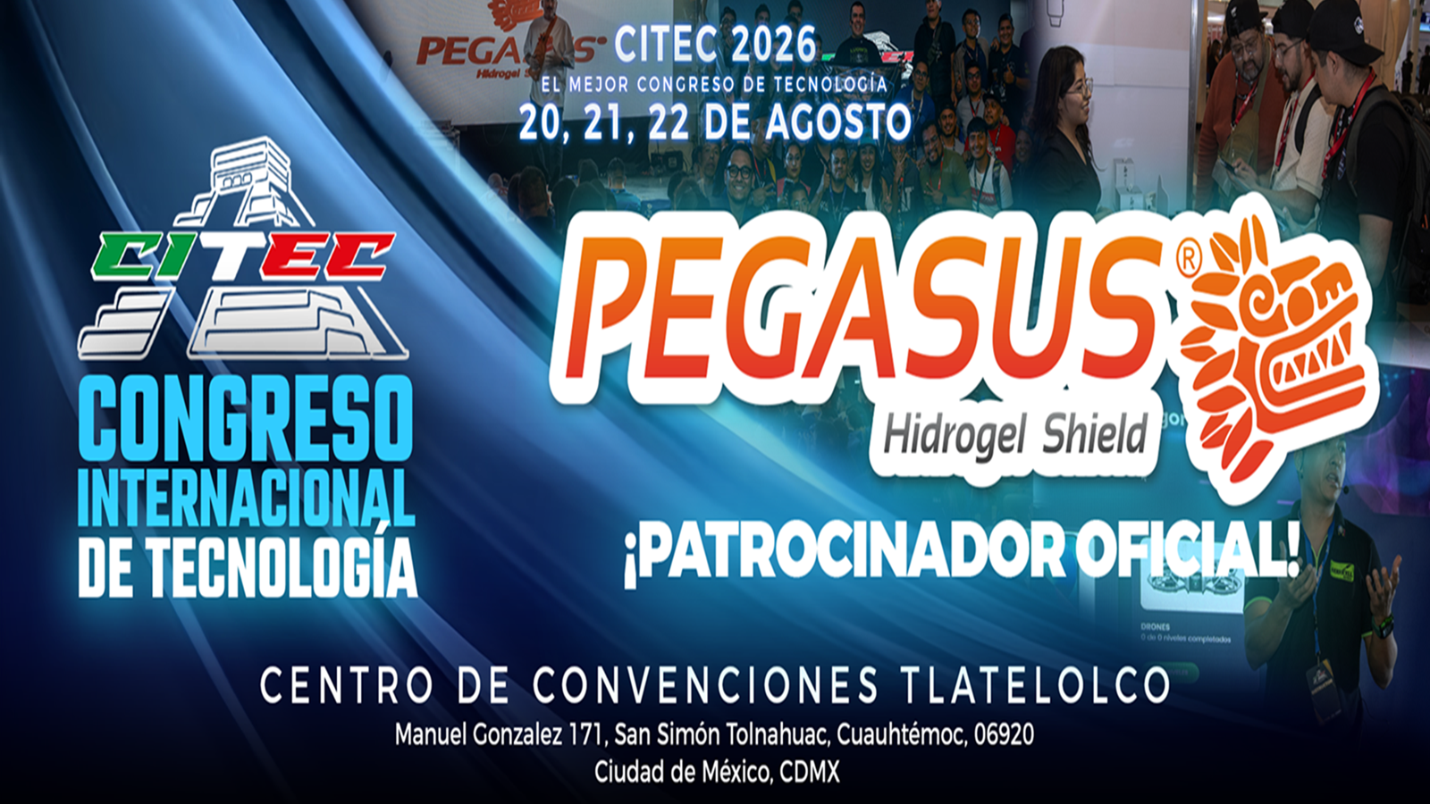 BANNER PEGASUS