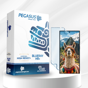 PEGASUS (11)