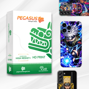 PEGASUS (14)